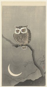 Scops ugle på en gren med halvmåne av Ohara Koson