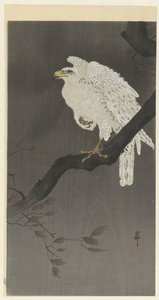 Snøørn på en gren av Ohara Koson