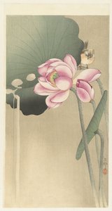 Songbird og Lotus av Ohara Koson