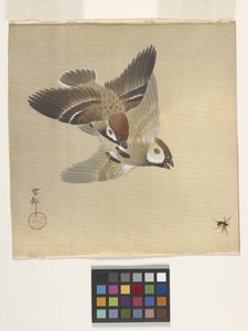 Spurver som jager flygende insekter (blekk og farge på silke) av Ohara Koson