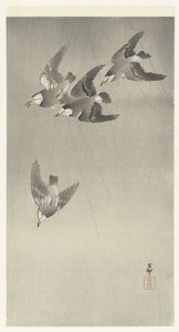 Stær i regnet av Ohara Koson