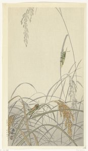 Gresshopper på risplanter av Ohara Koson