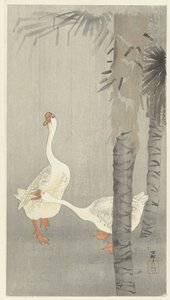 Tamme over alt i regn av Ohara Koson