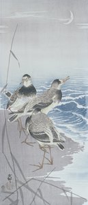 Tre sandpiper ved vannkanten foran siv (farget treblokktrykk) av Ohara Koson