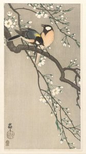Pupper på Cherry Branch av Ohara Koson