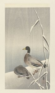 To ender på snødekt siv over av Ohara Koson