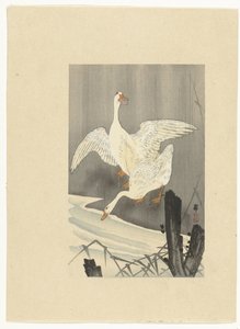 To gjess ved en elv av Ohara Koson