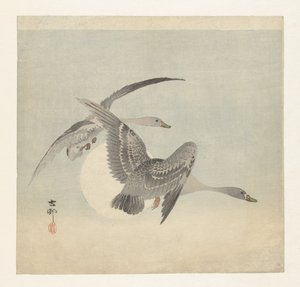 To blisgjess på flukt av Ohara Koson