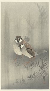 To ringspurver i regnet av Ohara Koson