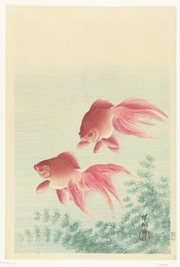 Gullfisk med to slørhale av Ohara Koson