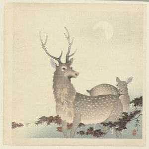 To hjort av Ohara Koson