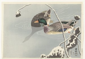To stokkand nær en snødekt lotus av Ohara Koson
