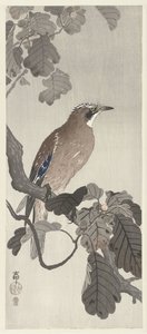 Flamsk jay på tregren av Ohara Koson