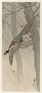 Flygende fasan av Ohara Koson