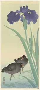 Morhøner og iris. av Ohara Koson