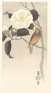 Sangfugl og blomstrende kamelia av Ohara Koson