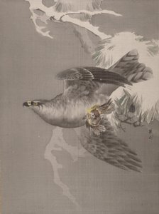 Hawk holder en liten fugl, ca. 1891-92. av Okada Baison