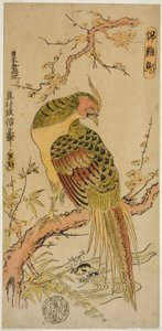 Gullfasan (Kinkeicho) av Okumura Masanobu