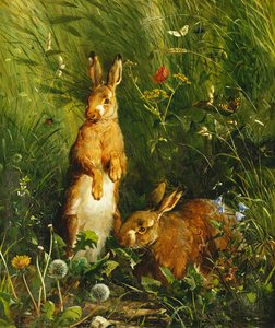 Harer, 1878 av Olaf August Hermansen