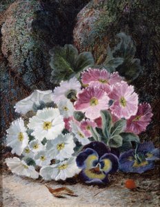 Stilleben med primulaer og stemorsblomster. Maleri av Oliver Clare (ca. 1853–1927). Privat samling.