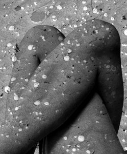 Skallbein, 2019 (digital blandet media) av Olivia Gozzano