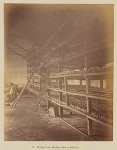 Drying house (indigo cakes on shelves)   1416390   no       norwegian Successfully Translated  Original: Serie van twaalf koban Shunga met prostituées in de rol van acrobatische brandweerlieden Translat: Serie van twaalf koban Shunga met prostituées in de 