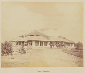 Planters bungalow