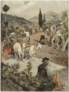 Årgangssesongen i Italia av Oswaldo Tofani