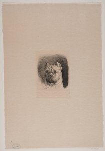 Et hundehode
