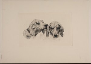 To hundehoder