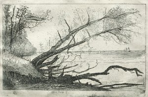Old Sycamore, 1877. av Otto H. Bacher