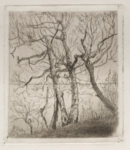 Woods by the Lake, 1878. av Otto H. Bacher