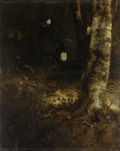 Skoggulv med en slange, øgler, sommerfugler og andre insekter