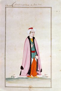 Ottomansk kunst: en ung tyrker. Trykk fra et manuskript av Ottoman School