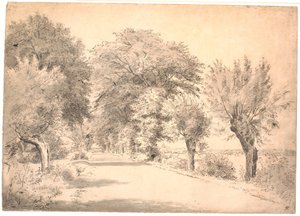 Landeveien ved Vognserup hovedgård. av P.C. Skovgaard