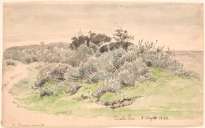 Landskap med kratt. av P.C. Skovgaard