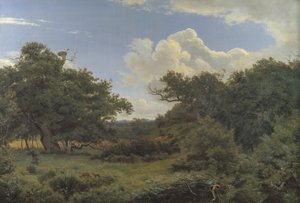 Eiketrær i Nordskoven ved Jægerspris, Sjælland av P.C. Skovgaard