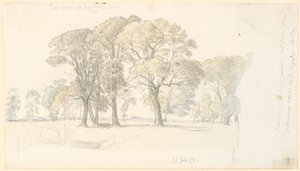 Parti fra Jægersborg Dyrepark med frittstående trær. av P.C. Skovgaard