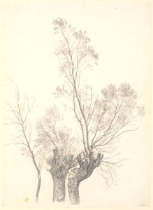 Studie av forkrøplede vier. av P.C. Skovgaard