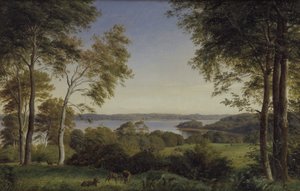 Utsikt over Skarre Sø