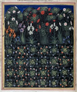 Hage (fra: Regia Carmina av Convenevole da Prato). Rundt 1335