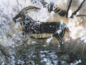 Geit eller Chamois, bergmaleri i det svarte rommet, Magdalenian (hulemaleri)