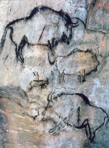Skadet bison, Magdalenian (hulemaleri)