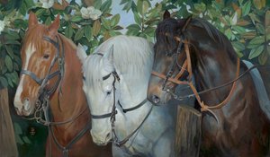  av Pamela Patrick White