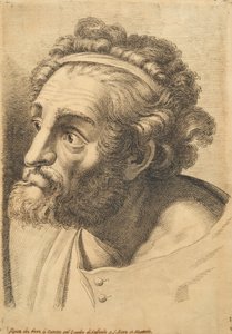 Leder av en skjeggete mann, fra 42 Studies of Heads after Raphael