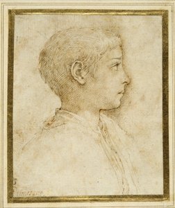 Byste av en gutt i profil til høyre (penn og brunt blekk på hvitt papir) av Parmigianino