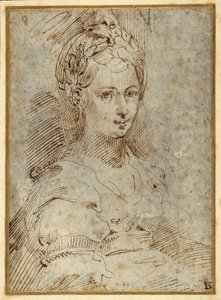 Halv lengde av en sittende kvinne (penn og blekk på papir) av Parmigianino