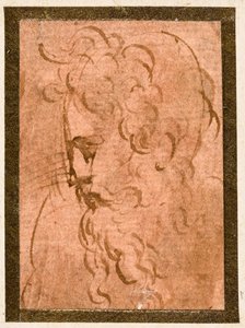 Mannlig hode av Parmigianino