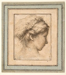 Profilhode til en jente som ser til høyre av Parmigianino