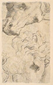 To studier av hestehoder (fragment) (verso) av Parmigianino